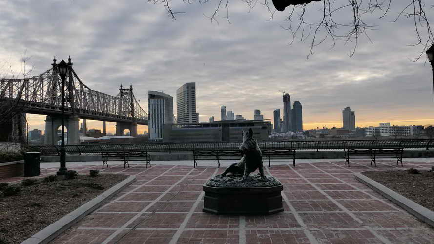 NYC_2020-01-27 07-50-11_P1070752